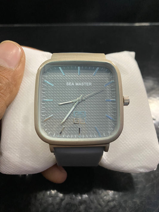 Full Grey Watch (Sea Master)